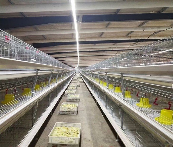 led strip lights the warehouse(001)